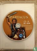 Spartacus - Bild 3