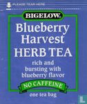 Blueberry Harvest - Image 1