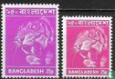 Images du Bangladesh - Image 2