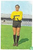 Willy Mortier