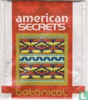 american secrets - Bild 1