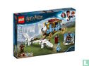 LEGO 75958 Beauxbatons' Carriage: Arrival at Hogwarts™ - Bild 1