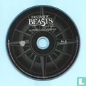 Fantastic Beasts and Where to Find Them - Image 3