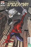 The Amazing Spider-Man 87 - Image 1