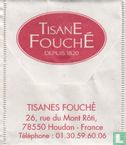 TisanE FouchÉ   - Image 2