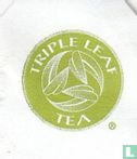 Decaf Green Tea with Ginseng [tm] - Bild 3