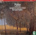 Symphony No. 1  Gustav Mahler - Image 1