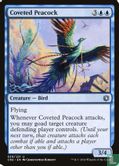 Coveted Peacock