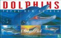 Dolfijnen     - Afbeelding 2