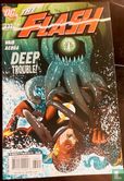 Flash 232
