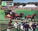 Richmond Royal Horse Show - Afbeelding 1