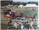 Richmond Royal Horse Show - Afbeelding 3