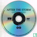 After the Storm - Bild 3