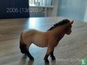Przewalski - Bild 2