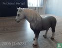 Percheron Stallion - Image 2