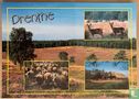 Drenthe - Bild 1