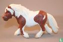 Shetland Mare - Image 1