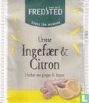 Ingefær & Citron - Bild 1
