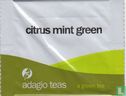 citrus mint green - Afbeelding 1