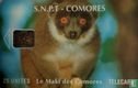 Le Maki des Comores - Image 1