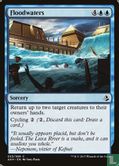 Floodwaters
