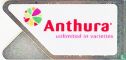 Anthura unlimited in varieties  - Bild 1