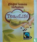 ginger lemon infusion - Bild 1