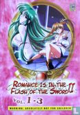 Romance is in the Flash of the Sword II - Image 1