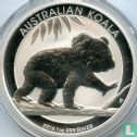 Australië 1 dollar 2016 (kleurloos) "Koala" - Afbeelding 1