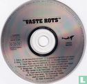 Vaste Rots (1)