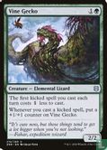 Vine Gecko - Afbeelding 1