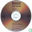 Birdy