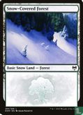 Snow-Covered Forest