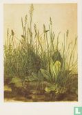 Das groß Rasenstück-Tall grass-La grande gazon, 1503 - Afbeelding 1