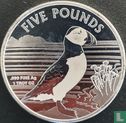 Alderney 5 pounds 2019 (PROOFLIKE) "Puffin" - Image 2