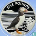 Alderney 5 pounds 2019 (PROOF) "Puffin" - Image 2