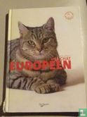 Le chat Européen - Afbeelding 1