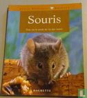 Souris - Bild 1