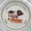 Australië 1 dollar 2007 (type 1 - gekleurd) "Year of the Pig" - Afbeelding 1