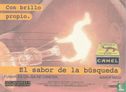 00713 - Camel