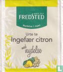 Ingefær citron - Image 1