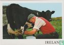 Milking Time near Slieve League Donegal Ireland Postcard - Image 1