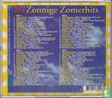 80 Zonnige Zomerhits - Afbeelding 2