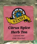 Citrus Spice Herb Tea - Image 1