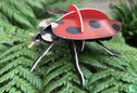 Seven-spot ladybug - Image 1