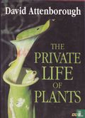 The private life of plants - Image 1