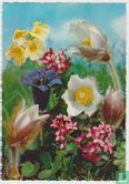 Flowers Postcard - Afbeelding 1