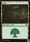 Forest - Image 1