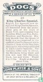 King Charles Spaniel - Afbeelding 2