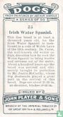 Irish Water-Spaniel - Afbeelding 2